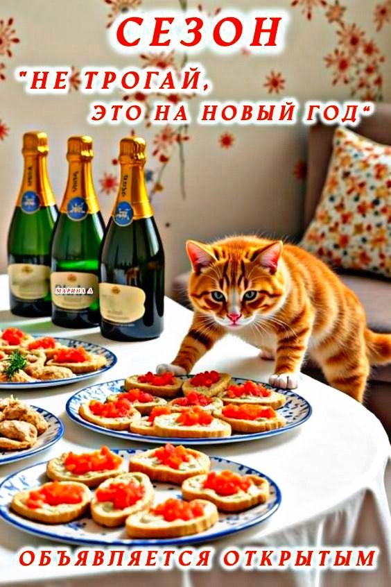 СЕЗОН «НЕ ТРОГАЙ, ЭТО НА НОВЫЙ ГОД» ОБЪЯВЛЯЕТСЯ ОТКРЫТЫМ