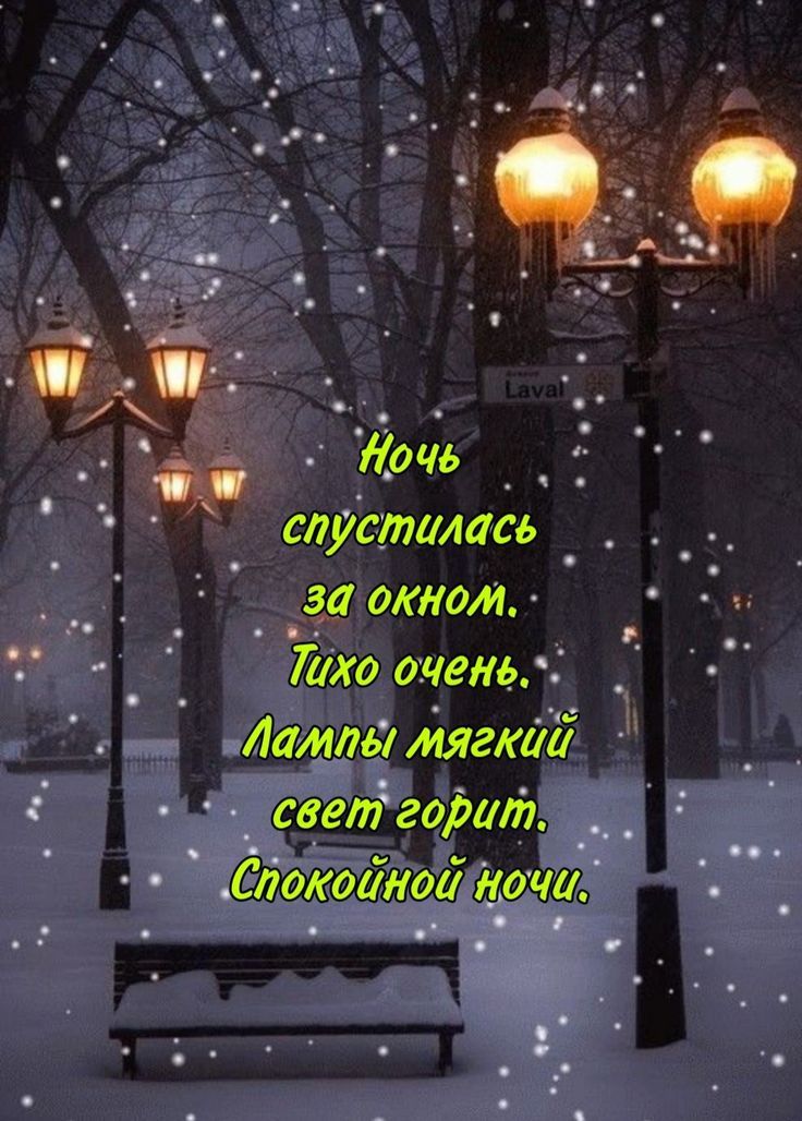 Ночь спустилась за окном. Тихо очень. Лампы мягкий свет горит. Спокойной ночи.