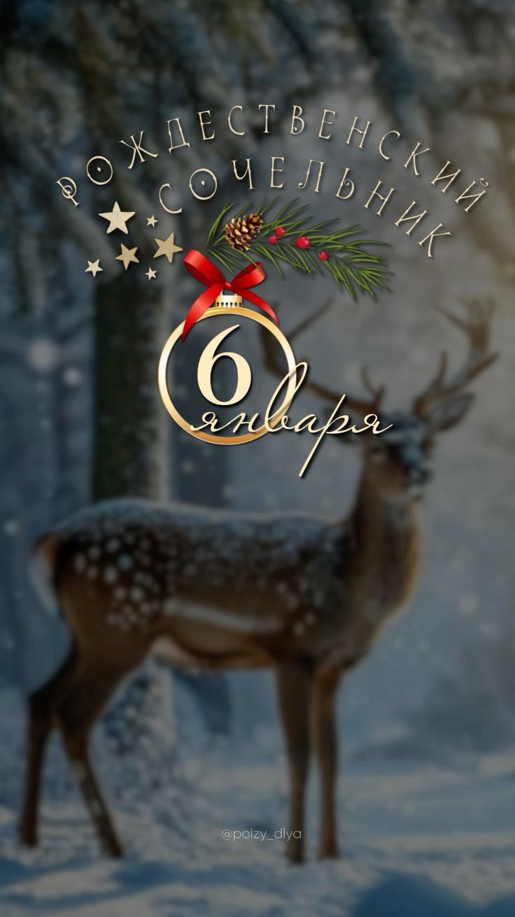 Рождественский сочельник 6 января
