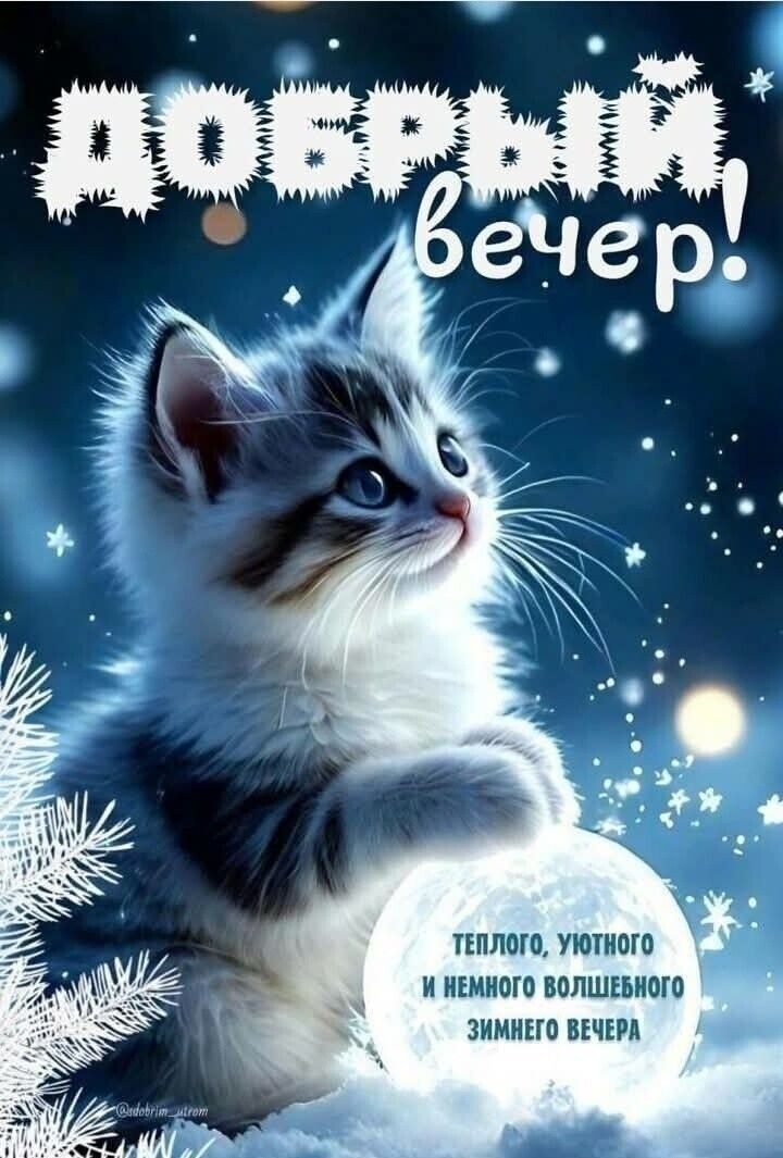 Добрый вечер! Теплого, уютного и немного волшебного зимнего вечера