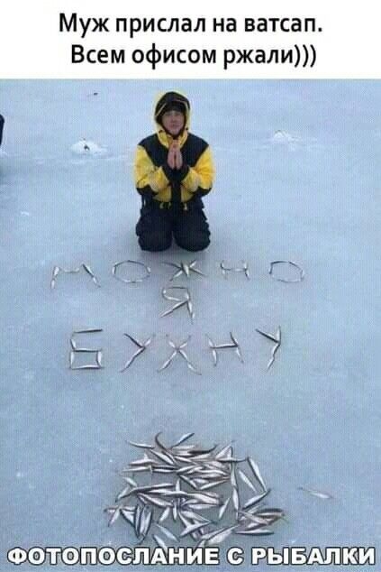 Муж прислал на ватсап. Всем офисом ржали))) ФОТОПОСЛАНИЕ С РЫБАЛКИ