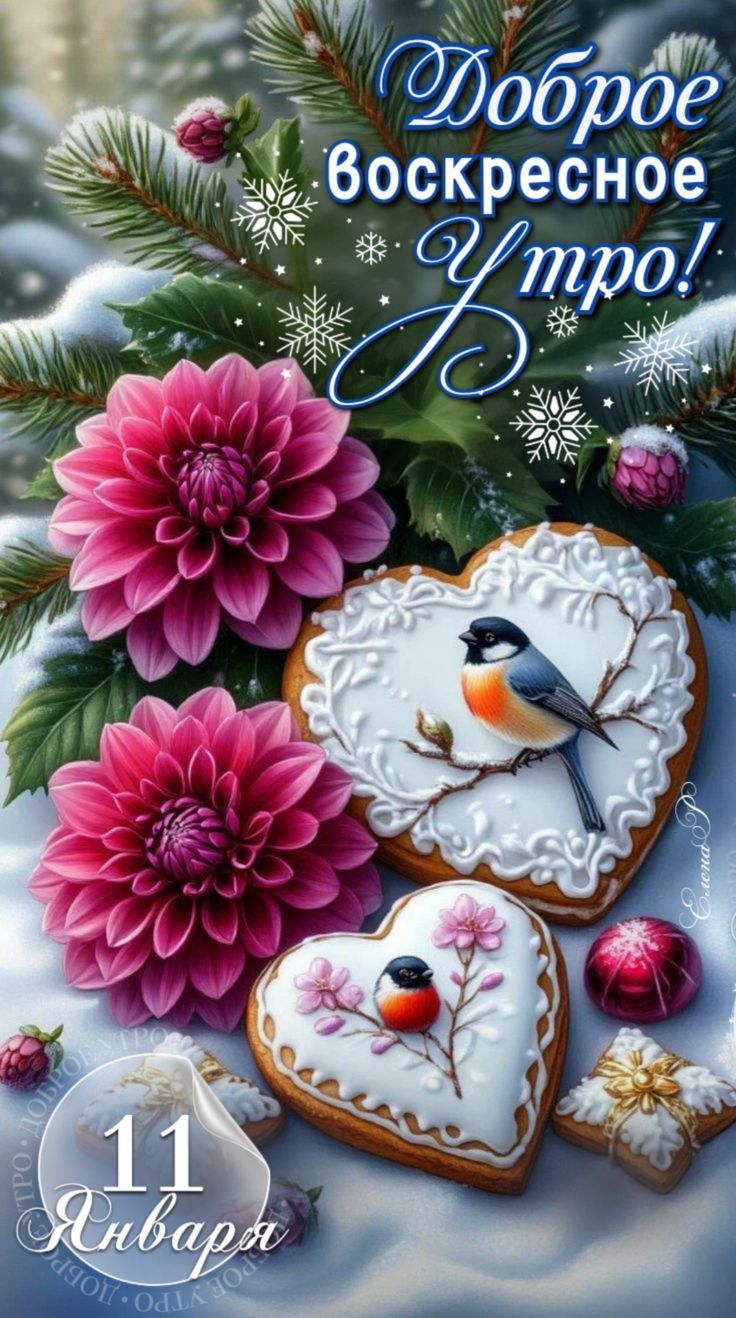 Доброе Воскресное Утро!\n11 Января