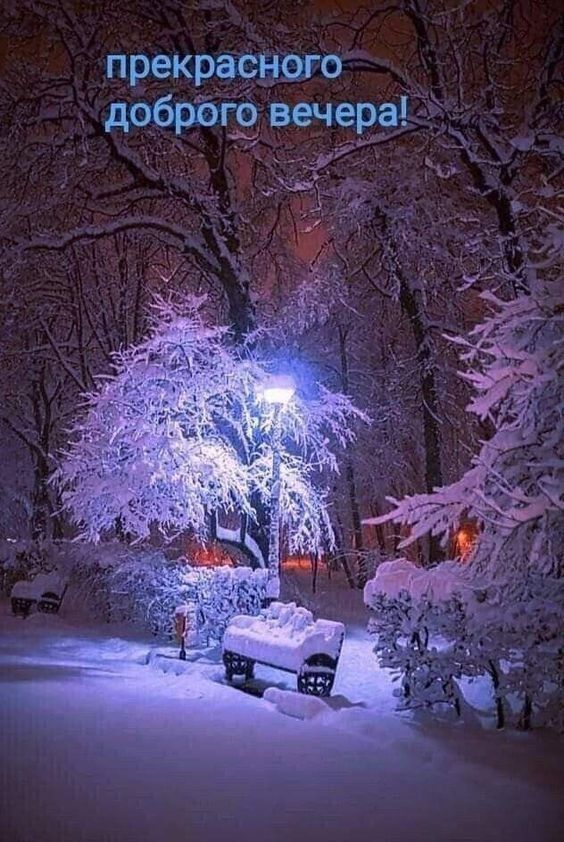 прекрасного доброго вечера!