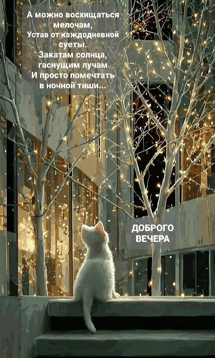 А можно восхищаться мелочам,
Уставая от каждодневной суеты.
Закатам солнца, гаснущим лучам
И просто помечтать в ночной тиши...

ДОБРОГО ВЕЧЕРА