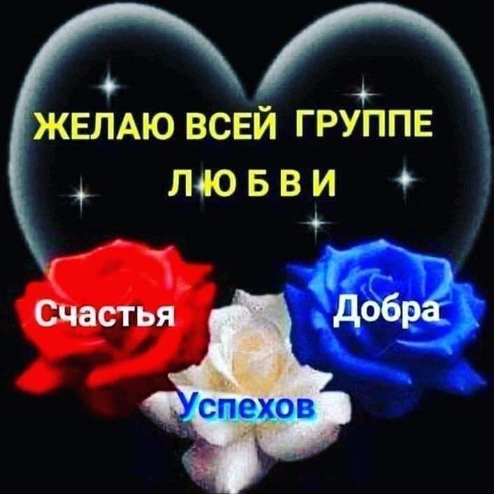 Желаю всей группе любви Счастья Добра Успехов