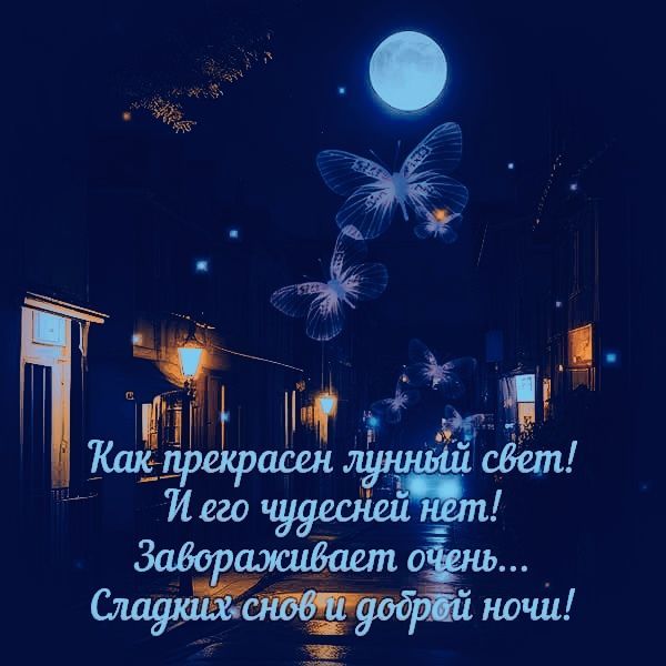 Как прекрасен лунный свет! И его чудесен нет! Завораживает очень... Сладких снов и доброй ночи!