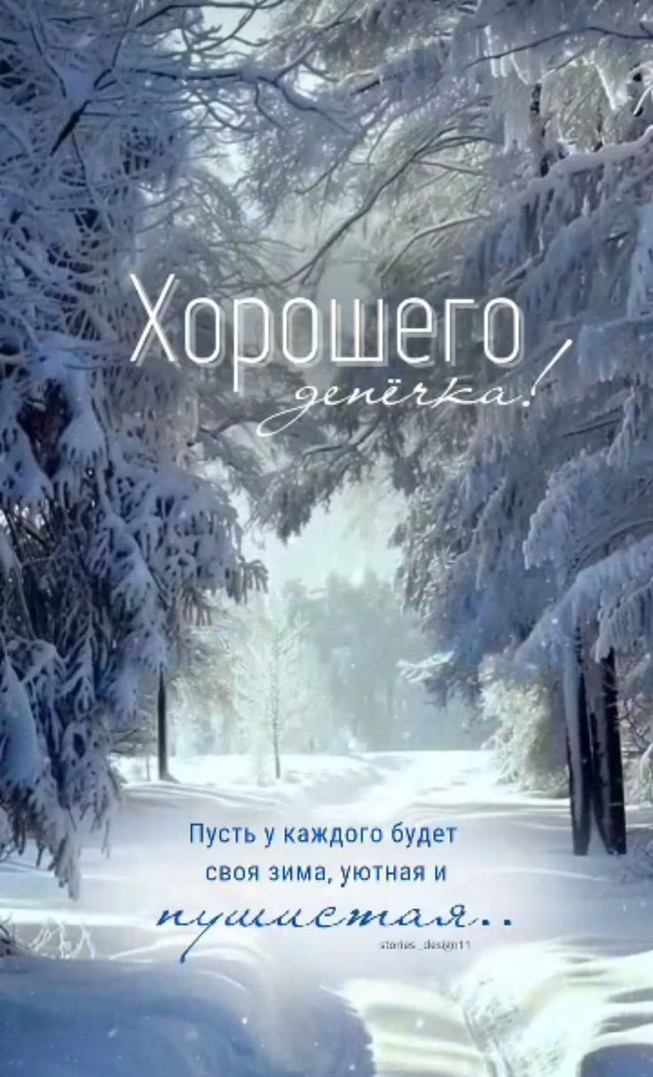 Хорошего денёчка! Пусть у каждого будет своя зима, уютная и пушистая.
