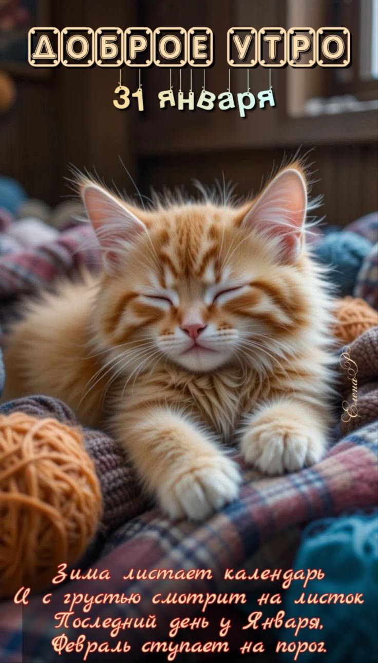 Доброе утро 31 января Зима листает календари И с грустью смотрит на листок Последний день у Января, Февраль стучает на порог