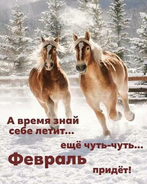 А время знать себе летит... ещё чуть-чуть... Февраль придёт!