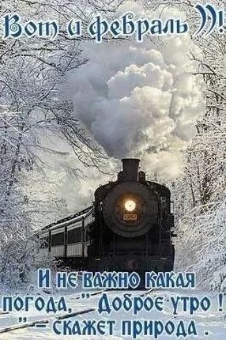 Вот и февраль! И не важно какая погода, доброе утро! - скажет природа