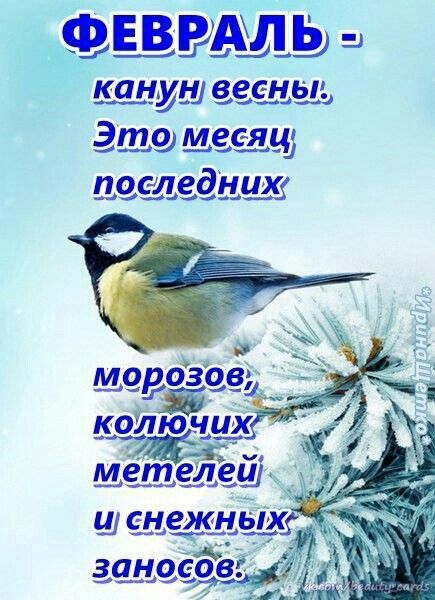 ФЕВРАЛЬ - канун весны! Это месяц последних морозов, колючих метелей и снежных заносов.