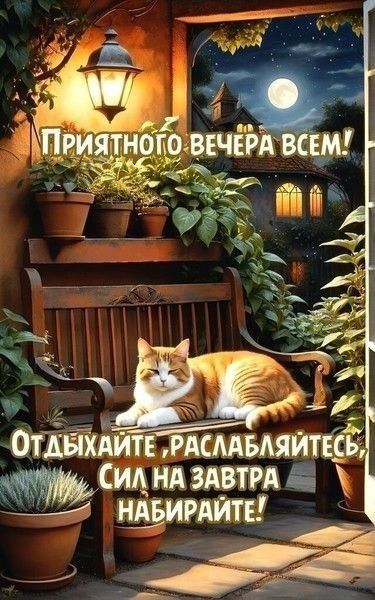 ПРИЯТНОГО ВЕЧЕРА ВСЕМ! ОТДЫХАЙТЕ, РАССЛАБЛЯЙТЕСЬ, СИЛ НА ЗАВТРА НАБИРАЙТЕ!