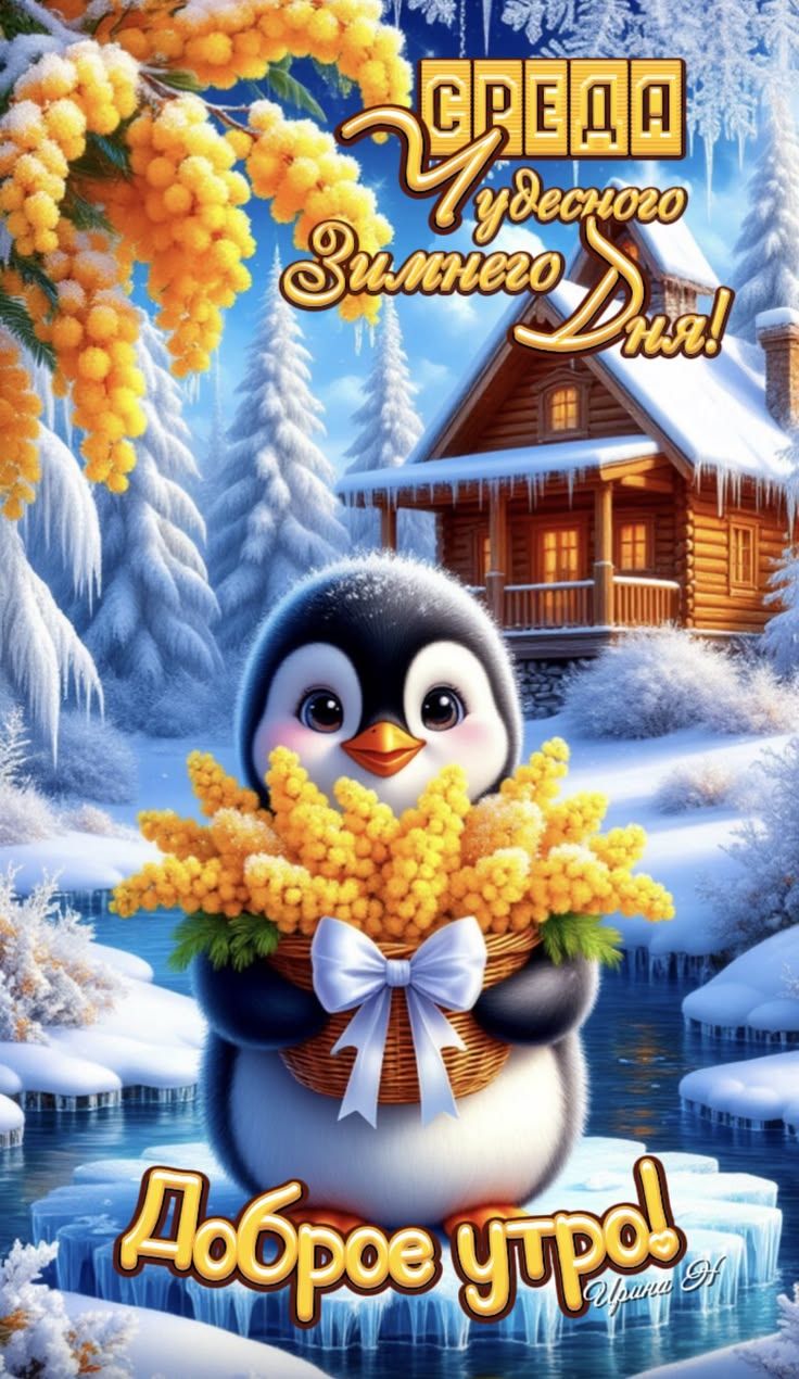 Среда чудесного зимнего дня! Доброе утро!