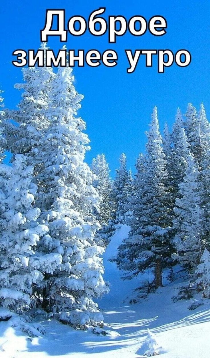 Доброе зимнее утро