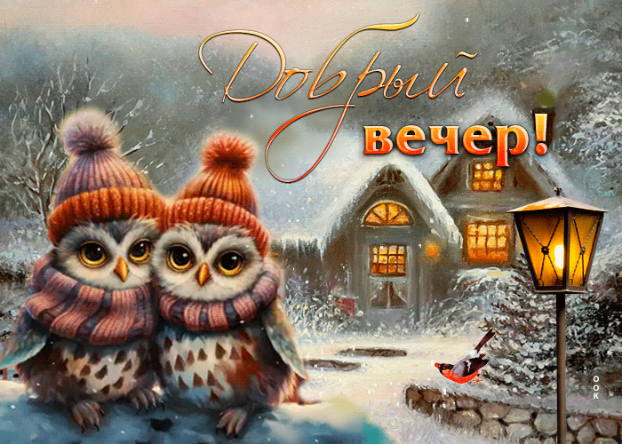 Добрый вечер!