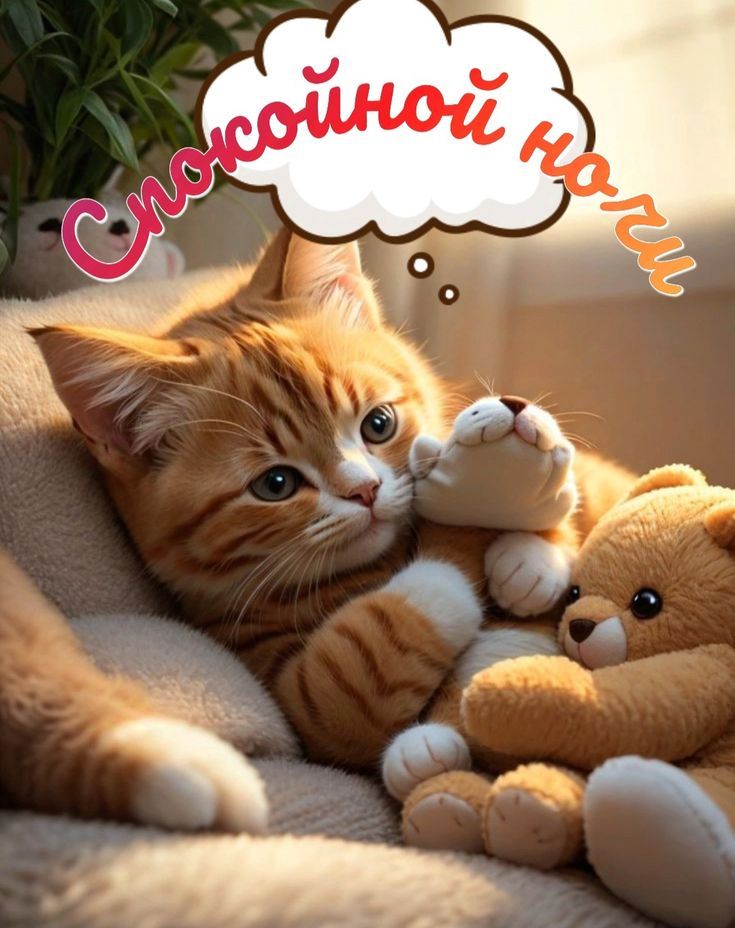 С любовной ноте