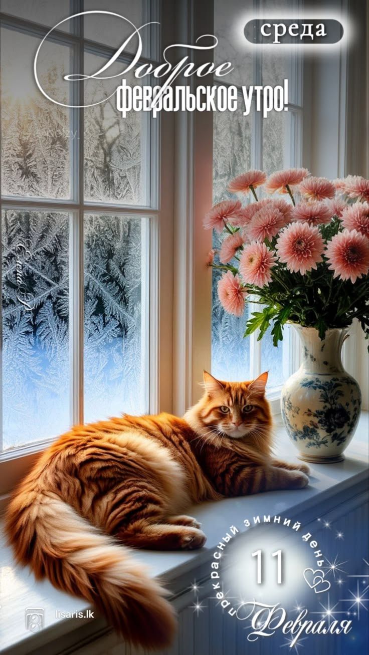 Доброе февральское утро! среда 11 Февраля
