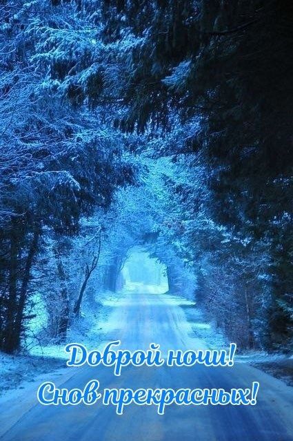 Доброй ночи! Снов прекрасных!