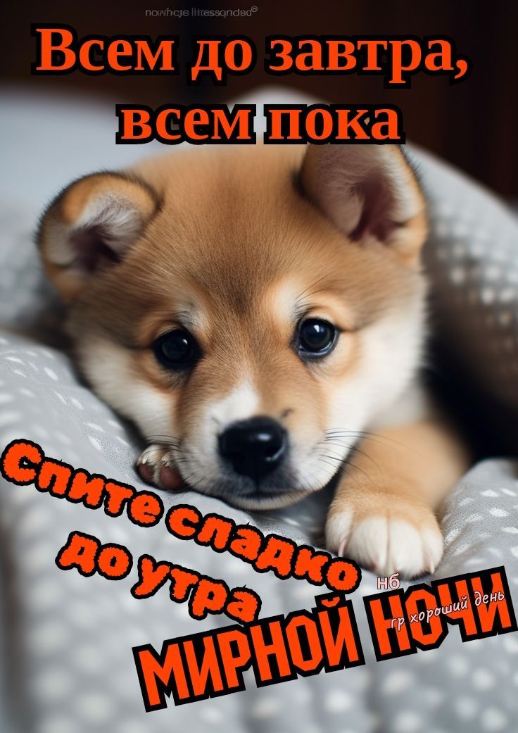 Всем до завтра, всем пока\nСпите сладко до утра мирной ночи