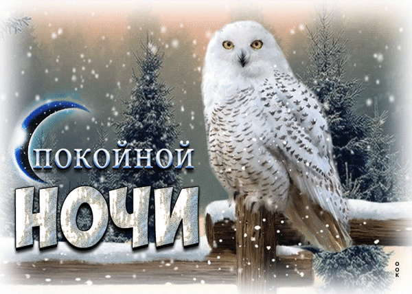 покойной ночи