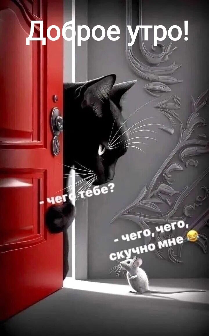 Доброе утро! - чего тебе? - чего, чего, скучно мне 😂
