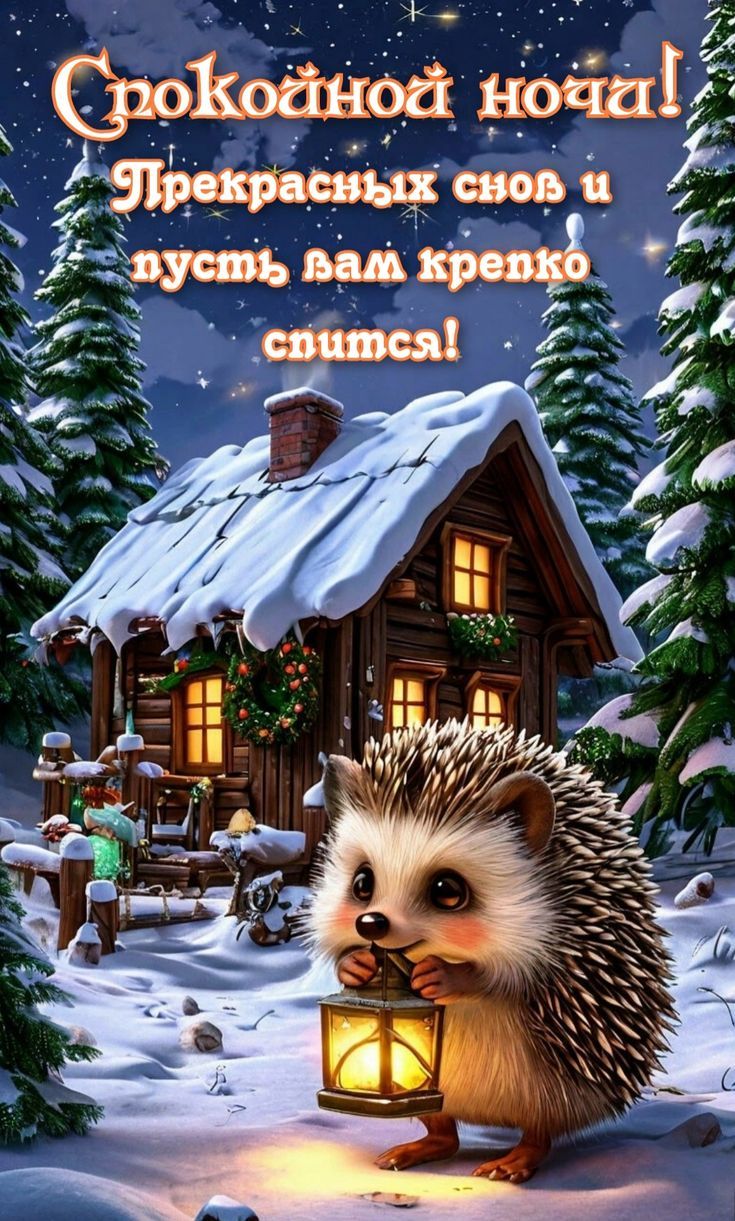 Спокойной ночи! Прекрасных снов и пусть вам крепко спится!