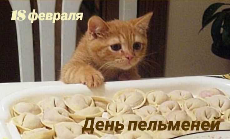 18 февраля\nДень пельменей