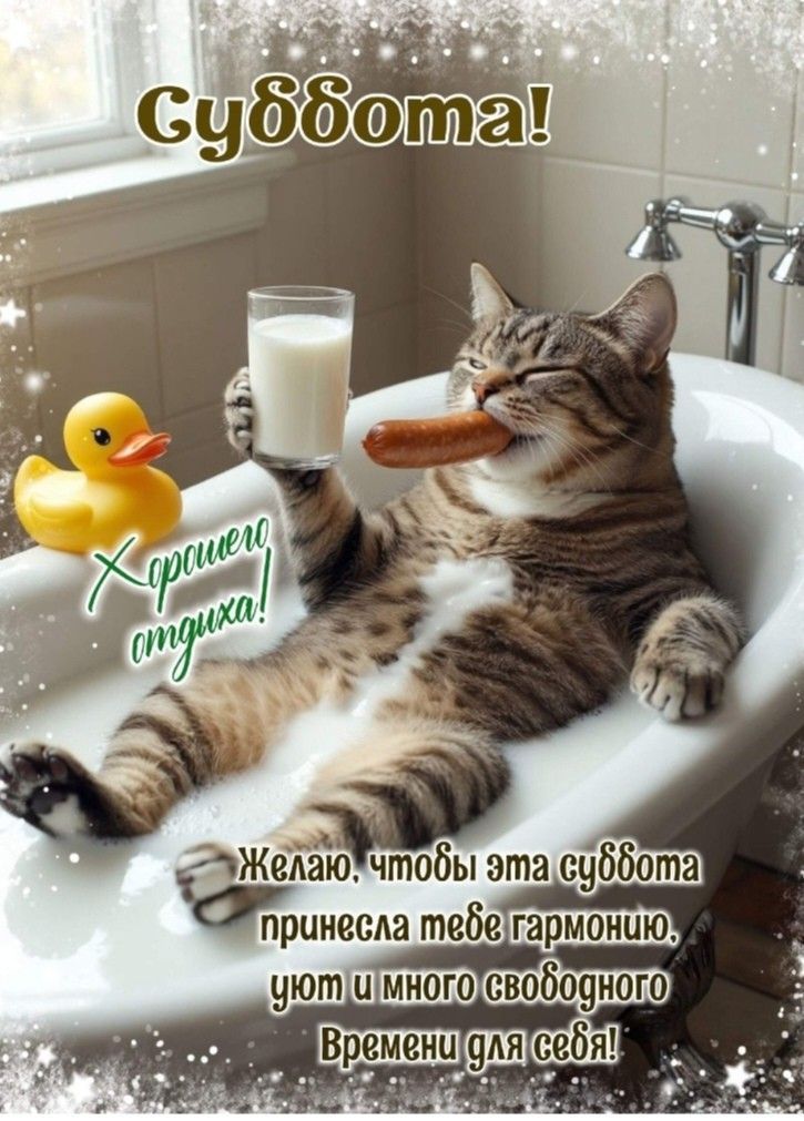 Суббота! Хорошего отдыха! Желаю, чтобы эта суббота принесла тебе гармонию, уют и много свободного времени для себя!