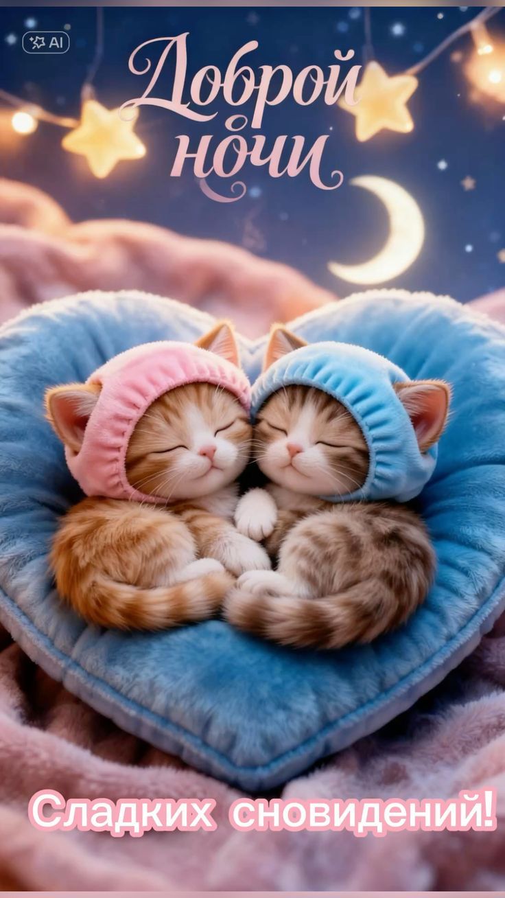 Доброй ночи
Сладких сновидений!