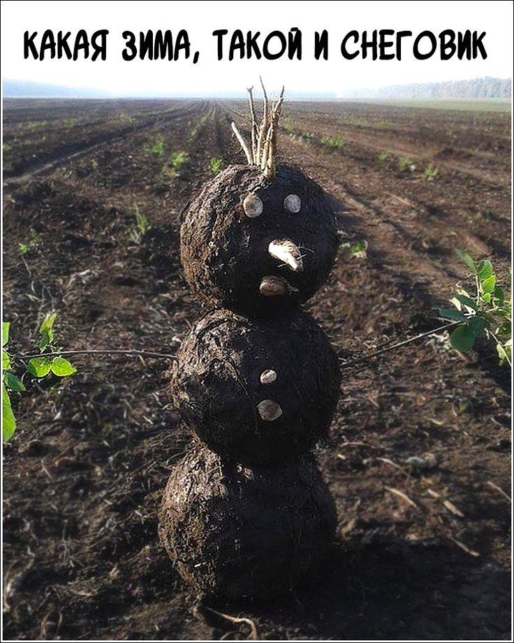 Какая зима, такой и снеговик