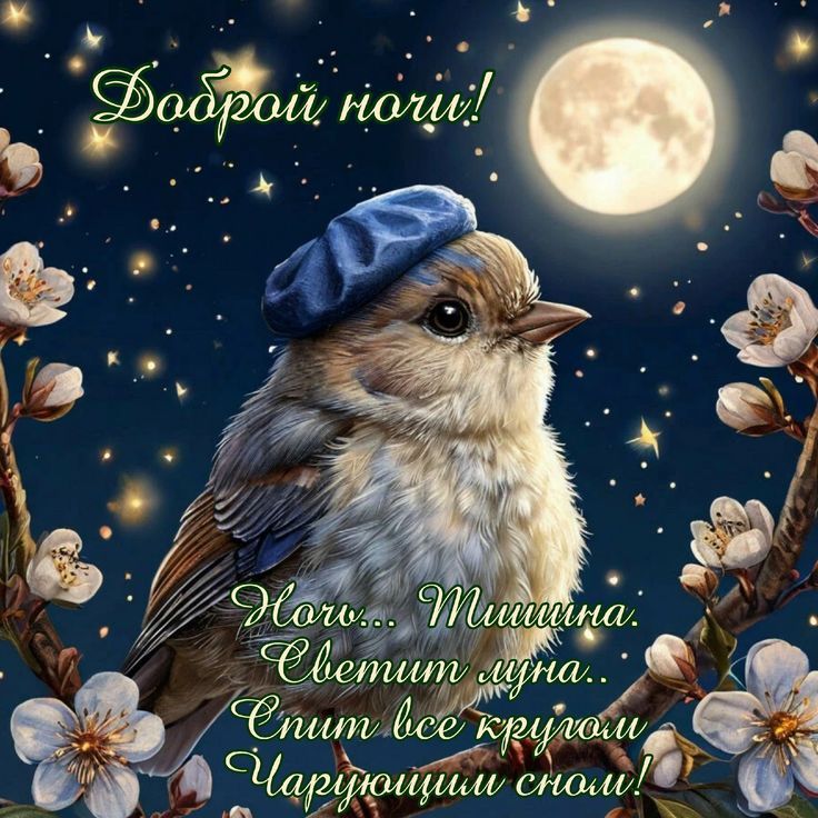 Доброй ночи! Нора... Тишина. Светит луна. Спит все вокруг чарующими снами!