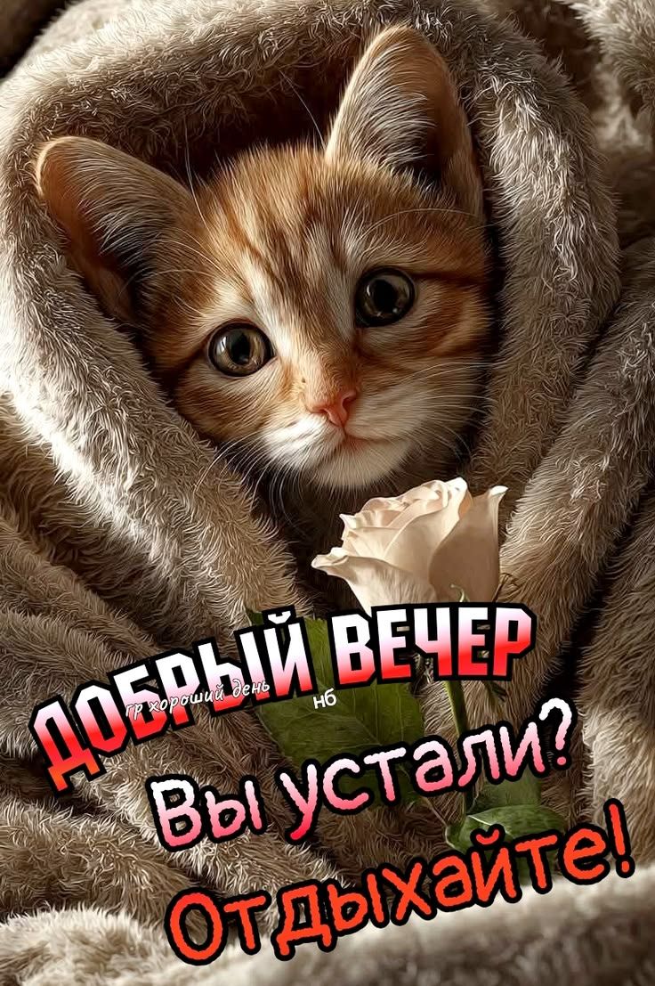 Добрый вечер Вы устали? Отдыхайте!