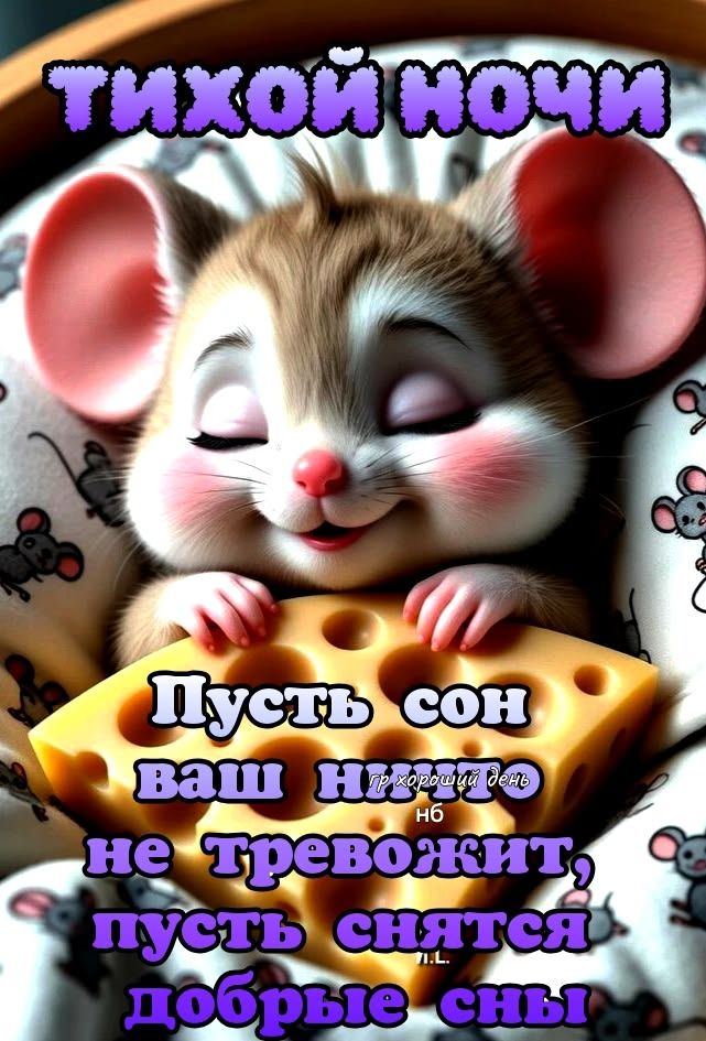 ТИХОЙ НОЧИ
Пусть сон ваш не тревожит, пусть снятся добрые сны