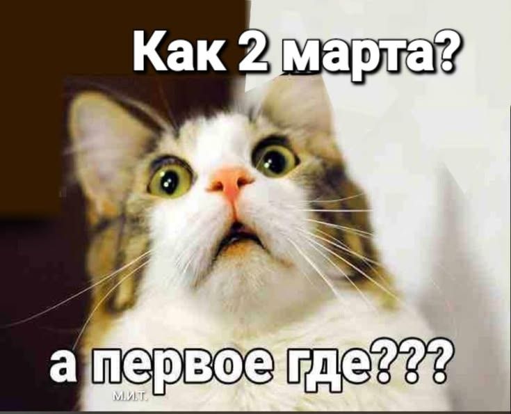 Как 2 марта? а первое где???