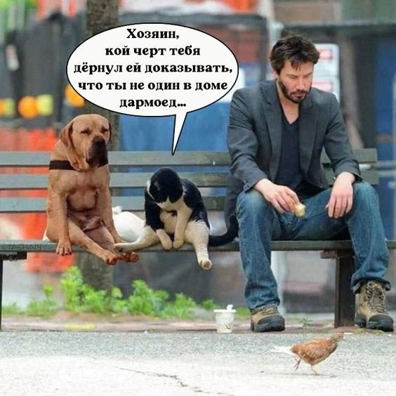Хозяин, кой черт тебя дёрнул ей доказывать, что ты не один в доме дармоед...