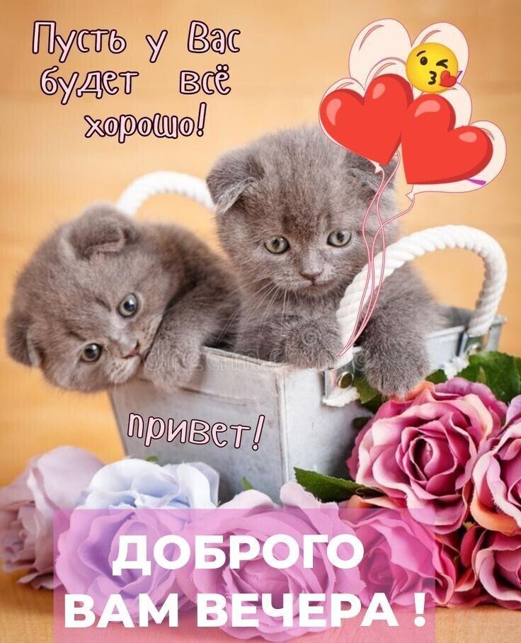 Пусть у Вас будет всё хорошо! привет! ДОБРОГО ВАМ ВЕЧЕРА!