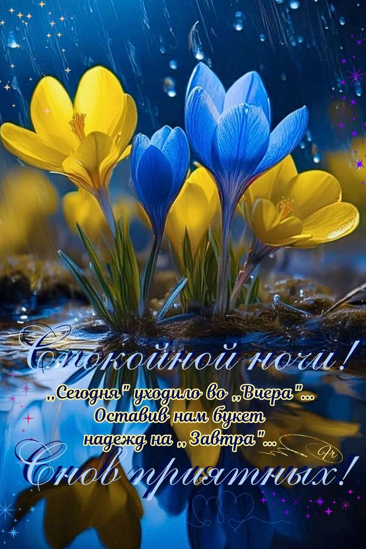 Спокойной ночи! Сегодня ушло во вчера... Оставив нам букет надежд на завтра... Снов приятных!