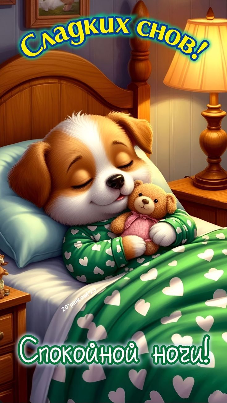 Сладких снов! Спокойной ночи!
