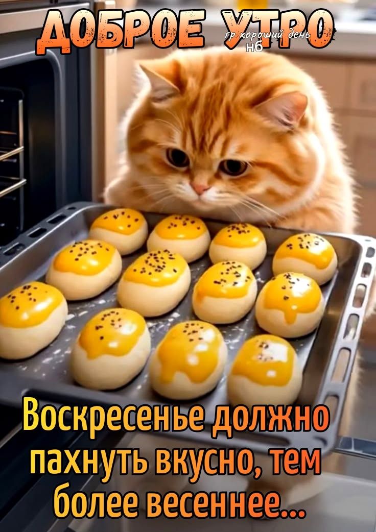 Доброе утро
Воскресенье должно пахнуть вкусно, тем более весеннее...