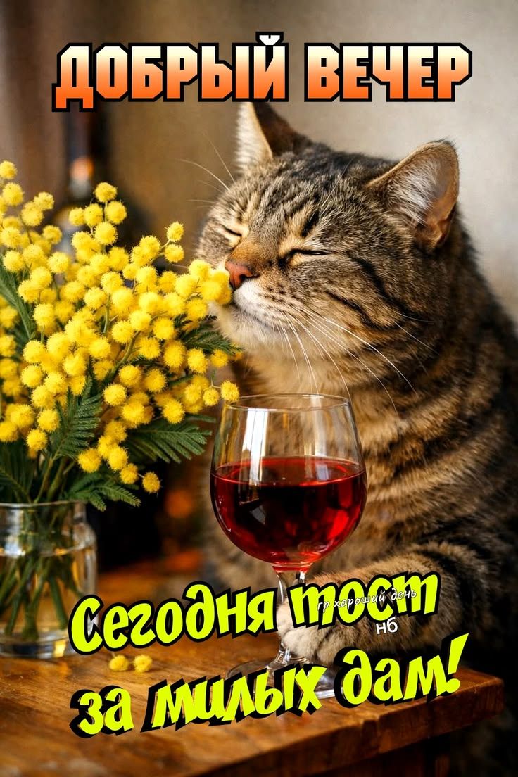 Добрый вечер Сегодня тост за милых дам!