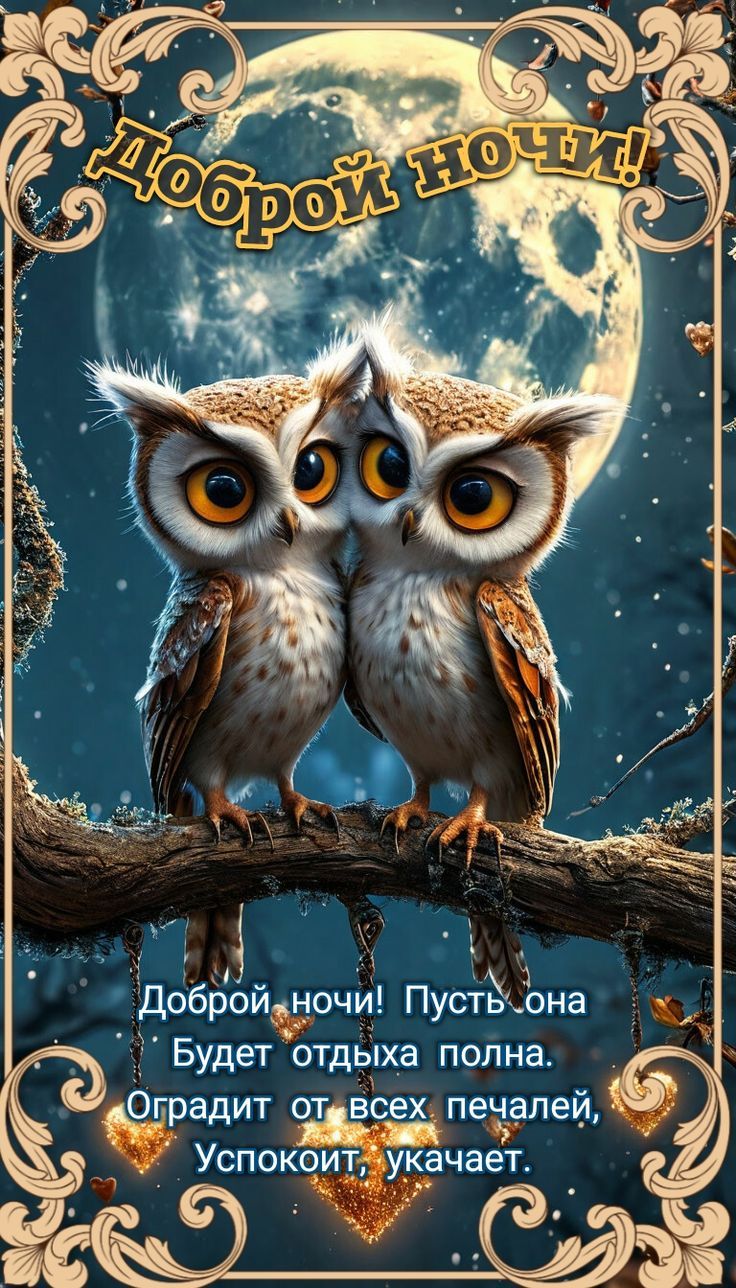 Доброй ночи! Пусть она будет отдыха полна. Оградит от всех печалей, Успокоит, укачает.