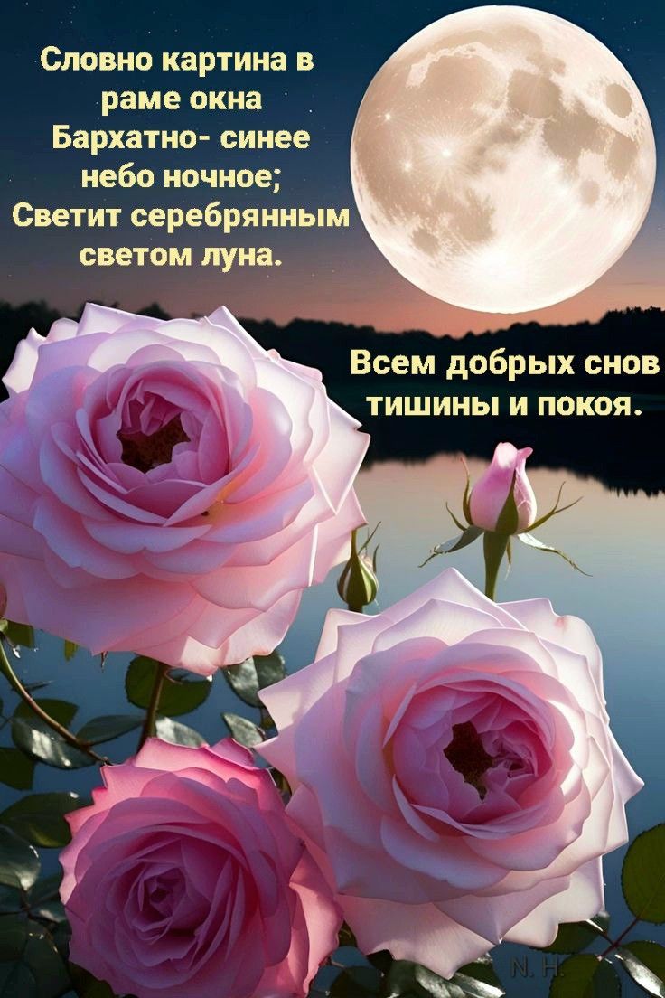 Словно картина в раме окна Бархатно- синее небо ночное; Светит серебрянным светом луна. Всем добрых снов тишины и покоя.