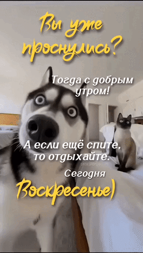 Вы уже проснулись? Тогда с добрым утром! А если еще спите, то отдыхайте. Сегодня Воскресенье)