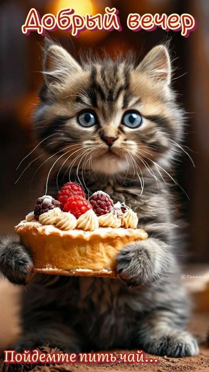 Добрый вечер. Пойдемте пить чай...
