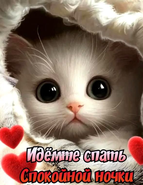 Идёмте спать Спокойной ночки