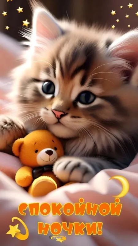 СПОКОЙНОЙ НОЧКИ!