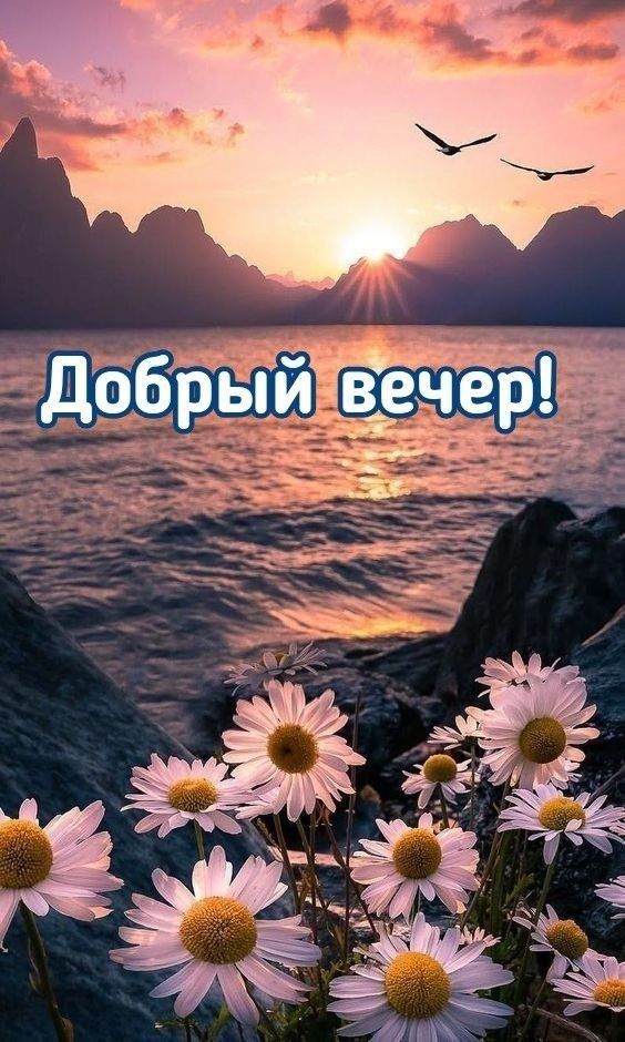 Добрый вечер!