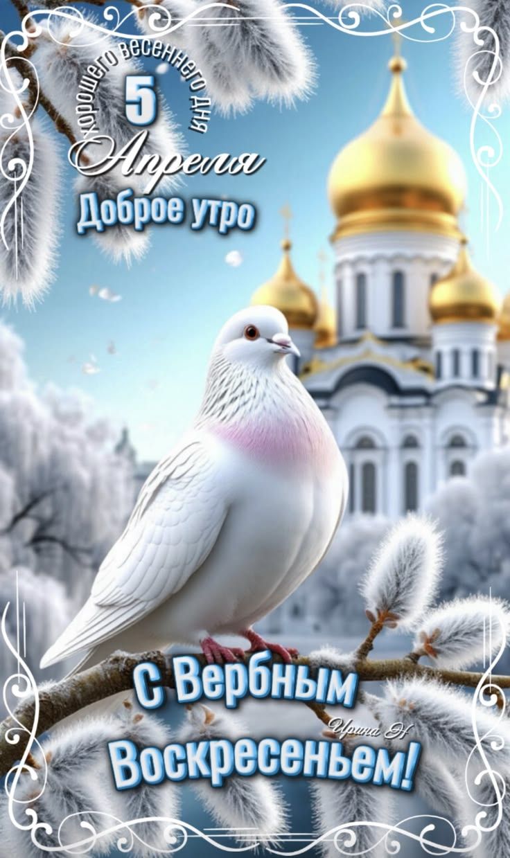 Хорошего весеннего дня 5 Апреля Доброе утро С Вербным Воскресеньем! Ирина Д
