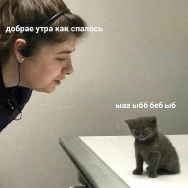 добрае утра как сп