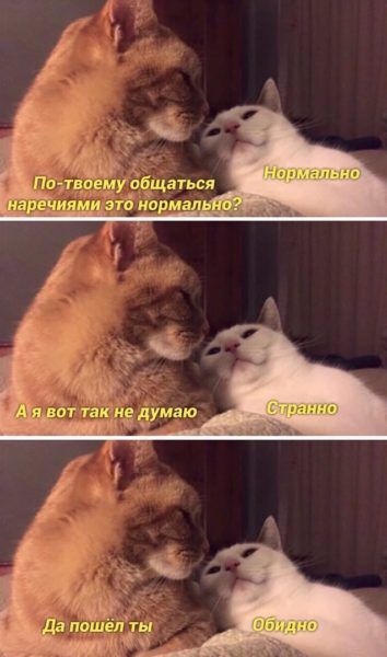 По_тоемуобщаться вот Тпкне думаю